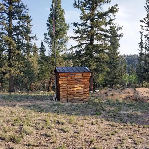 1167 Latigo LOOP, Hartsel, CO 80449
