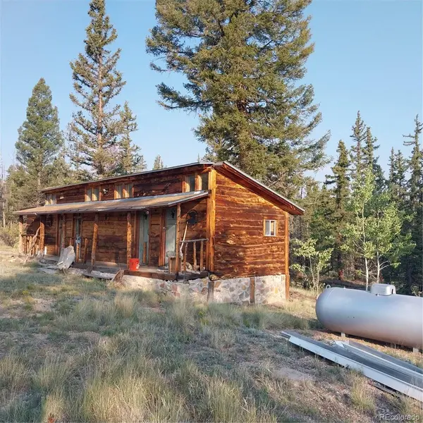 1167 Latigo LOOP, Hartsel, CO 80449