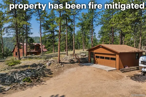 5235 County Road 72, Bailey, CO 80421