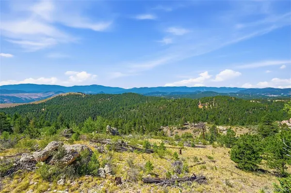 33550 Mount Wilson RD, Pine, CO 80470