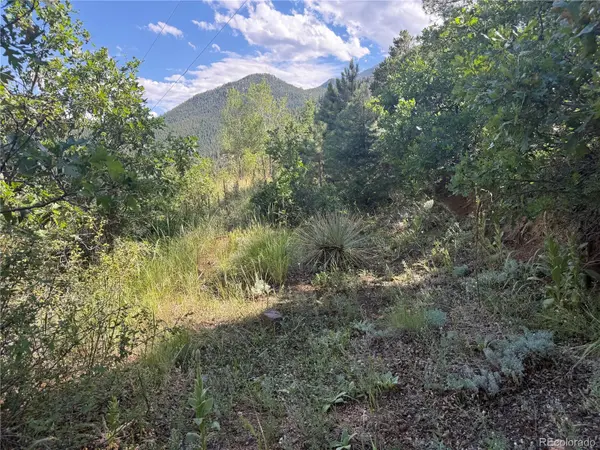 312 Upper Sun Valley LN, Manitou Springs, CO 80829