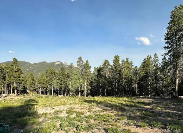 Mountain Meadows, Black Hawk, CO 80422