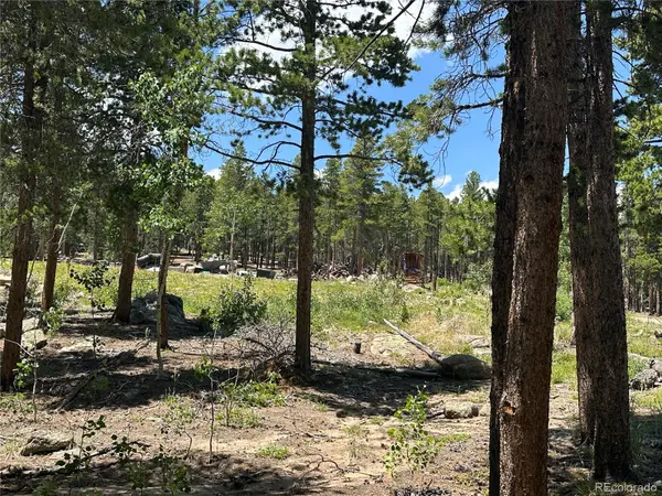 Mountain Meadows, Black Hawk, CO 80422