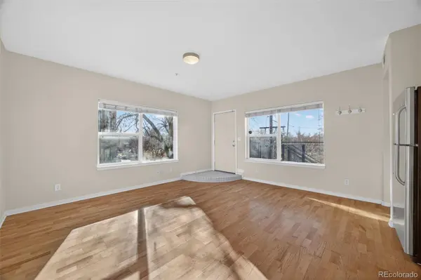 2389 S High ST #4, Denver, CO 80210