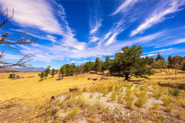 2113 Packer PL, Fort Garland, CO 81133