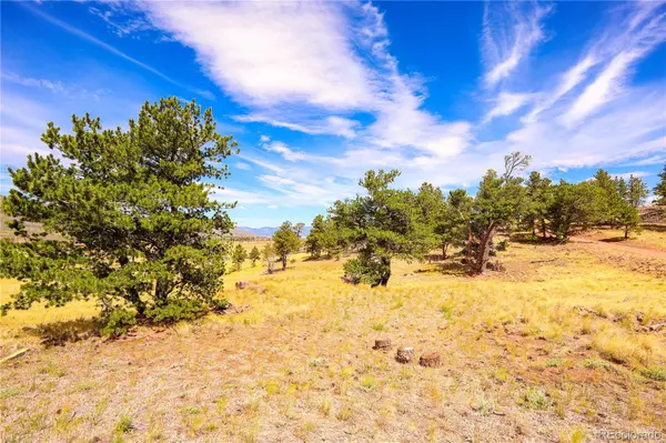 2113 Packer PL, Fort Garland, CO 81133