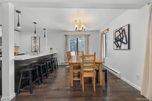 315 S 2nd AVE #105, Frisco, CO 80443