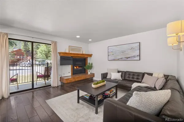 315 S 2nd AVE #105, Frisco, CO 80443