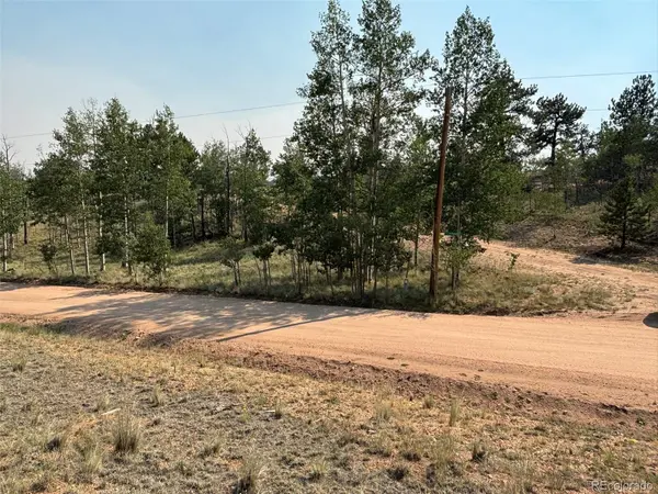 250 Pinto TRL, Como, CO 80432
