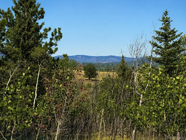 250 Pinto TRL, Como, CO 80432
