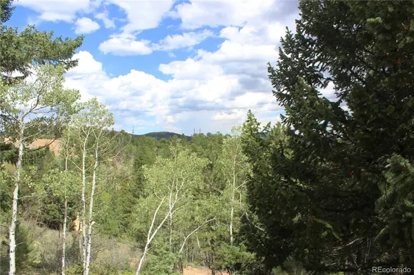 01 Golconda Mine RD, Central City, CO 80427