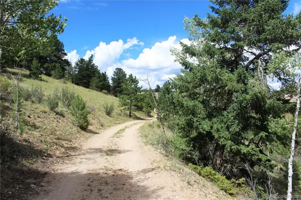 01 Golconda Mine RD, Central City, CO 80427