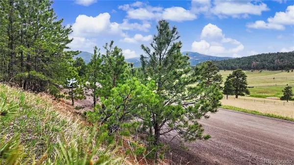 6078 Lone Peak DR, Evergreen, CO 80439