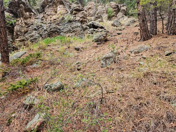 6078 Lone Peak DR, Evergreen, CO 80439
