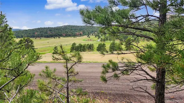 6078 Lone Peak DR, Evergreen, CO 80439