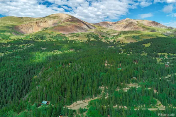 1062 Roberts RD, Alma, CO 80420