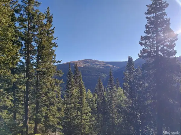 1062 Roberts RD, Alma, CO 80420