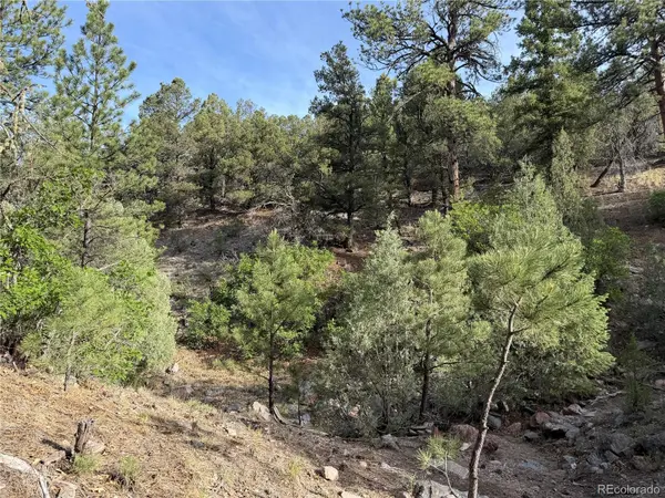 594 Maurice DR, Cotopaxi, CO 81223