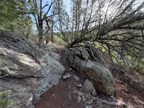 594 Maurice DR, Cotopaxi, CO 81223