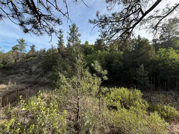 594 Maurice DR, Cotopaxi, CO 81223