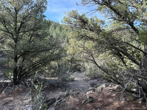 594 Maurice DR, Cotopaxi, CO 81223