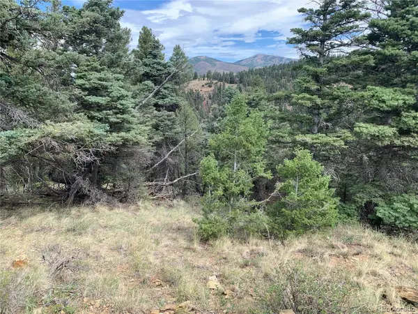 112 Lautenburg Drive, Fort Garland, CO 81133