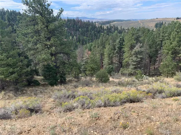 112 Lautenburg Drive, Fort Garland, CO 81133