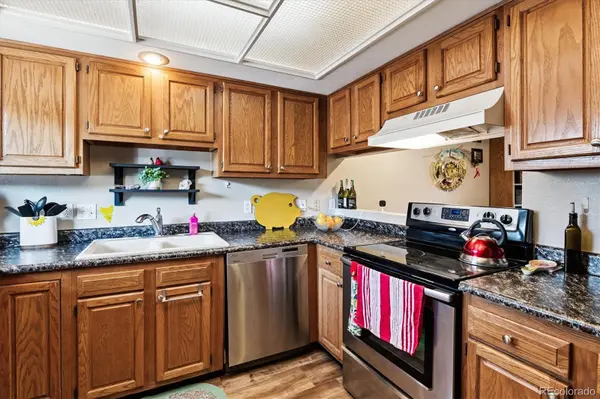 282 S Oman RD, Castle Rock, CO 80104