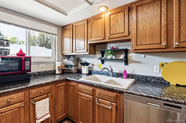 282 S Oman RD, Castle Rock, CO 80104