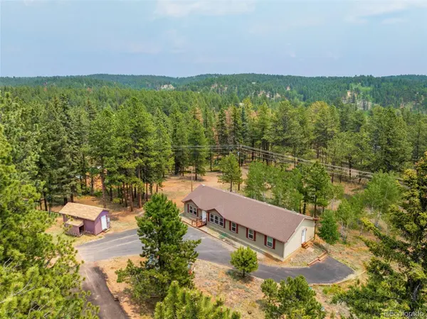 156 Fossil Creek RD, Florissant, CO 80816