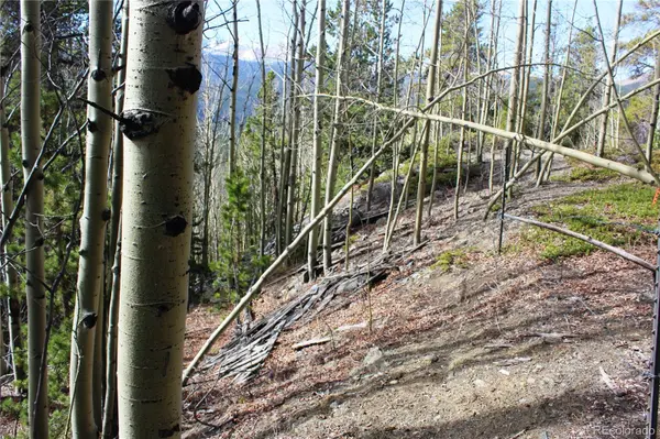 4-2 Lamertine RD, Idaho Springs, CO 80452