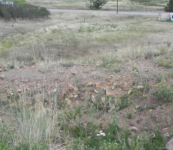 Lot 41-42 S 1st ST, Cripple Creek, CO 80813