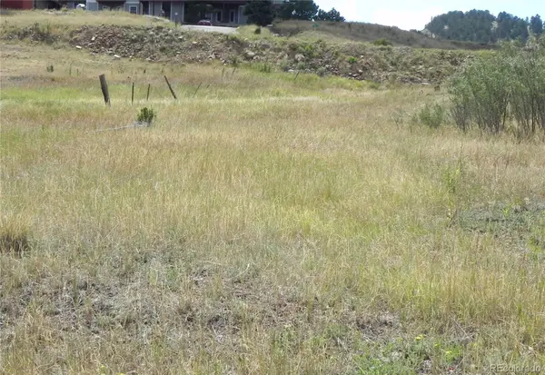 Lot 41-42 S 1st ST, Cripple Creek, CO 80813