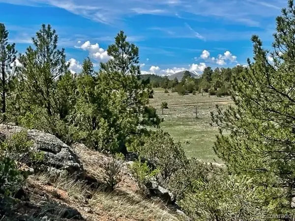 7080 Copper Gulch RD, Cotopaxi, CO 81223