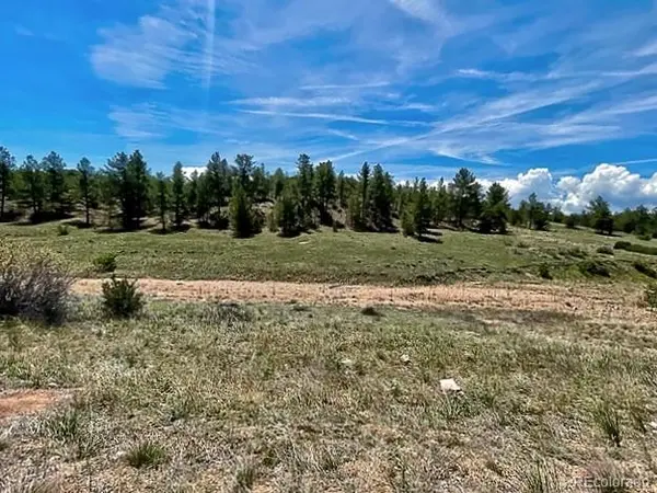 7080 Copper Gulch RD, Cotopaxi, CO 81223