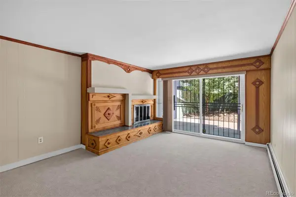 3576 S Ivanhoe ST, Denver, CO 80237