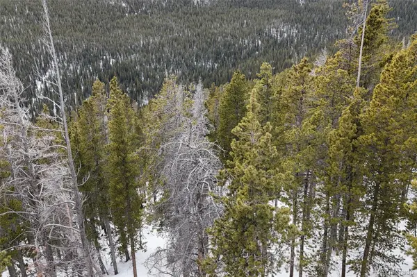 156 Vista RD, Idaho Springs, CO 80452