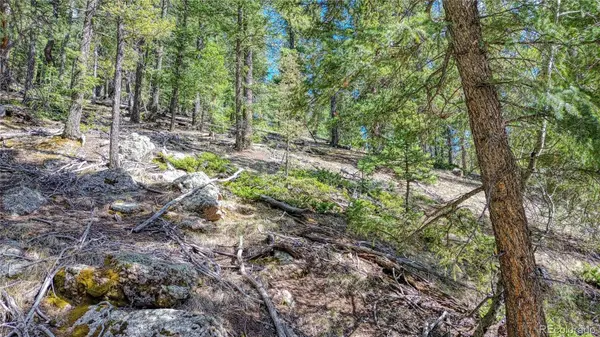 3075 N Mountain Estates RD, Florissant, CO 80816