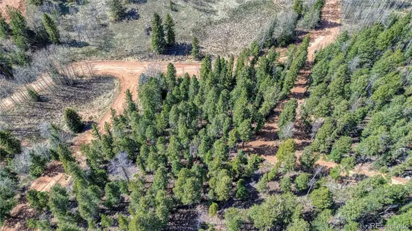 3075 N Mountain Estates RD, Florissant, CO 80816
