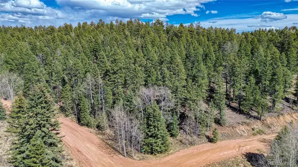 3075 N Mountain Estates RD, Florissant, CO 80816