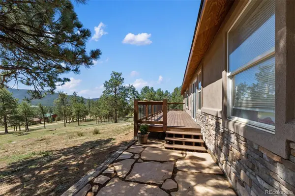 34 Fetlock CIR, Florissant, CO 80816