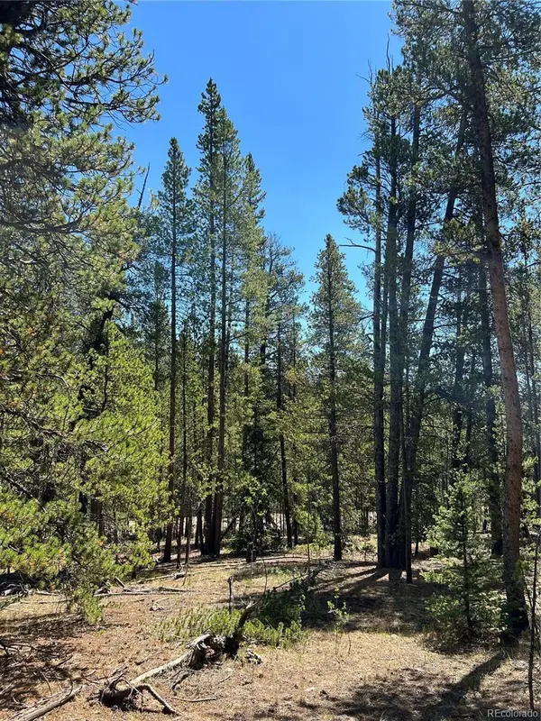 163 CO RD 665, Fairplay, CO 80440