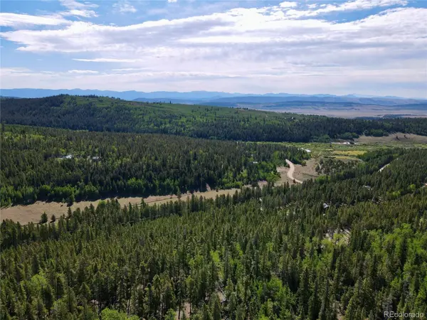 163 CO RD 665, Fairplay, CO 80440