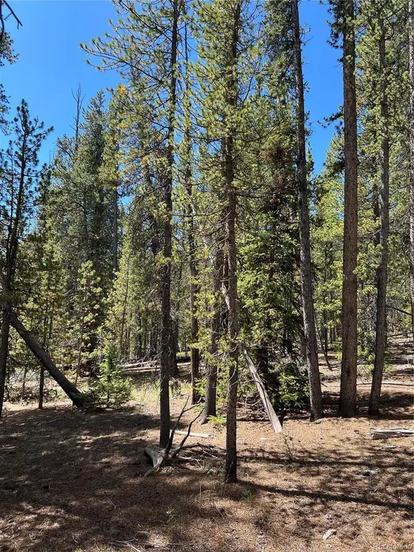 163 CO RD 665, Fairplay, CO 80440