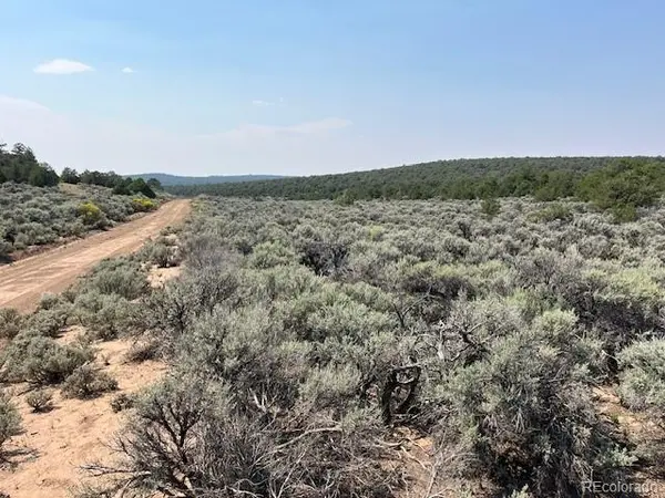 Lot 12 Bull Elk TRL, San Luis, CO 81152