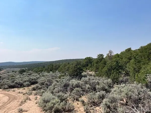 Lot 12 Bull Elk TRL, San Luis, CO 81152