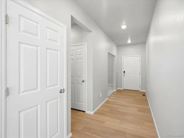 1660 Yampa River DR, Windsor, CO 80550