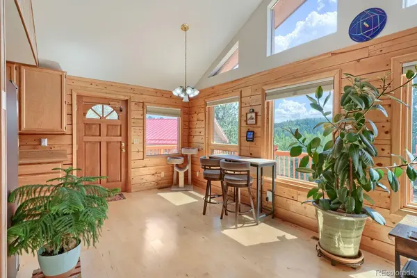 16 Mesa CT, Bailey, CO 80421
