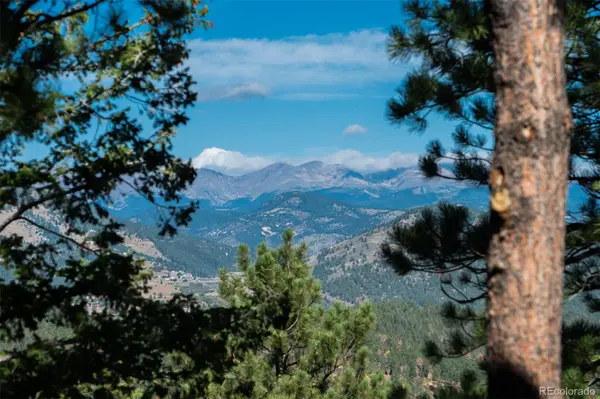 1028 Blue Grass TRL, Evergreen, CO 80439