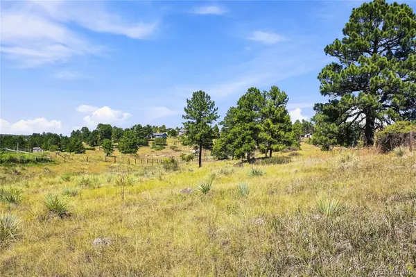 10461 Black Forest DR, Parker, CO 80138